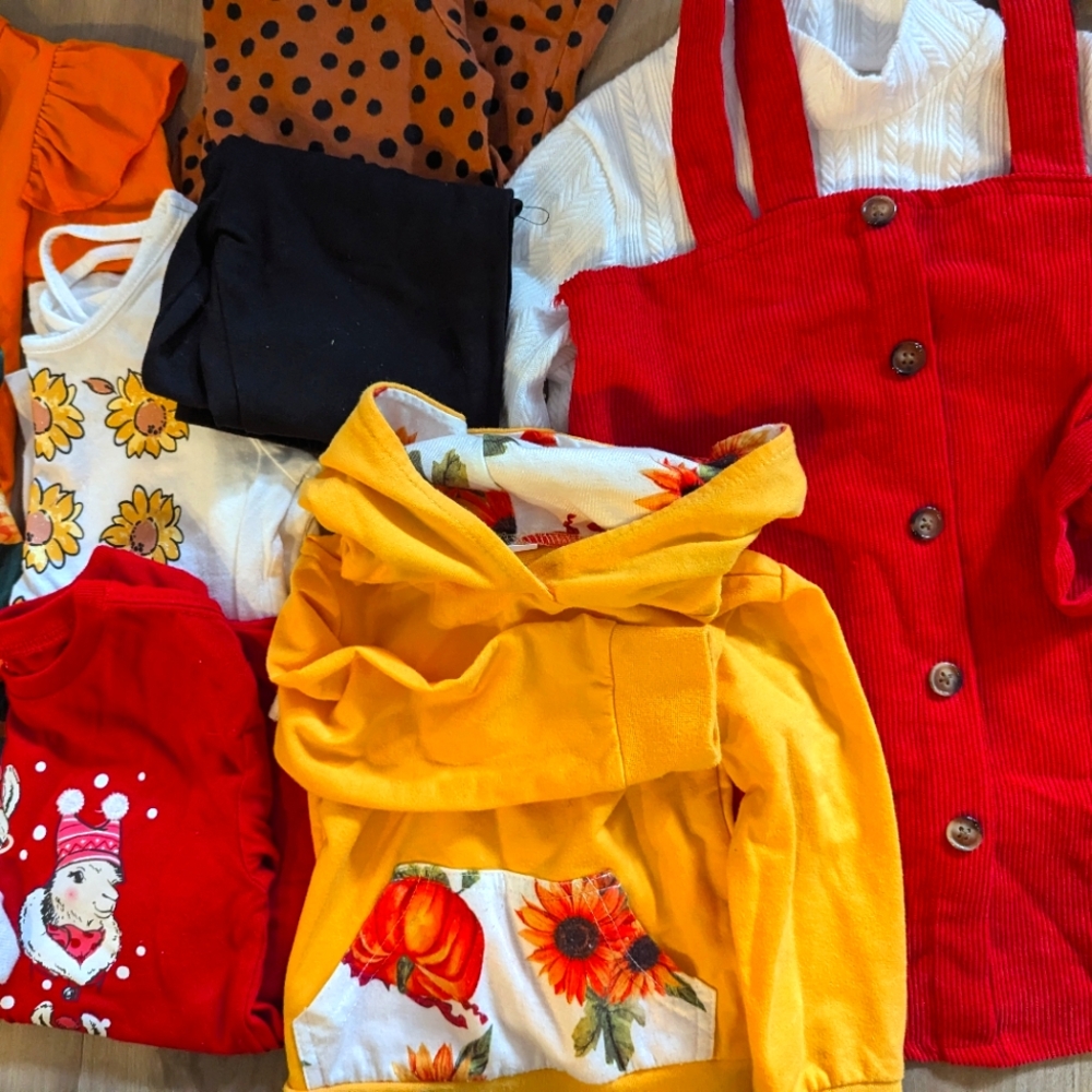 Girls 2T fall / winter clothing bundle